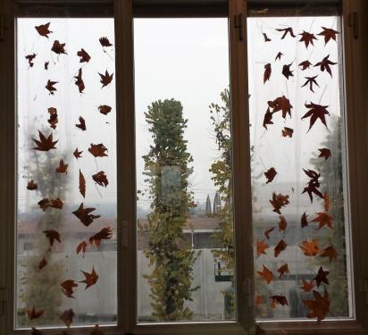 Panorama dalla finestra con le foglie ad effetto